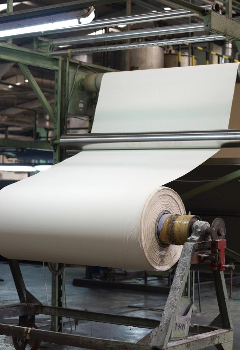 2024 yılında çin'in kağıt endüstrisindeki üç büyük eğilimin tahmini