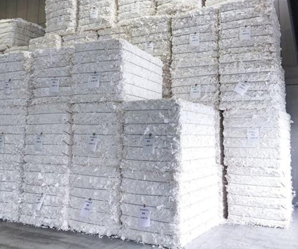 Suzano fiyatları yükseltebilir; Avrupa oranları zirveye ulaştı
