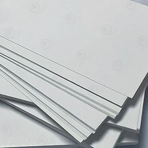 C1S fildişi kurulu/FBB