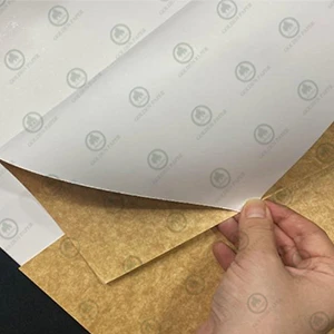 Kaplamalı tahta Kraft geri