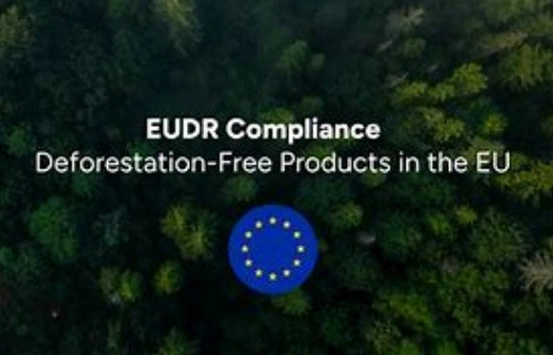 EUDR-avrupa pazarında çin kağıt şirketleri için yeni fırsatlar