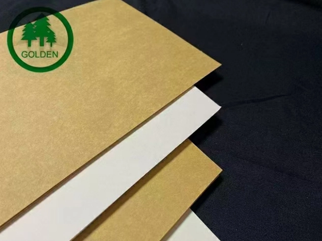 'Plastiği kağıtla değiştirmek' yeni talep yaratıyor ve kağıt şirketleri özel kağıt üretim kapasitesinin düzenini hızlandırıyor