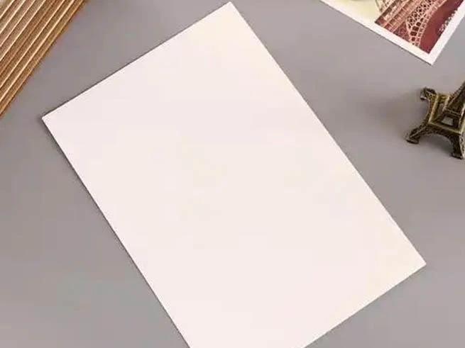 C1S fildişi kurulu (FBB) neden daha popüler hale geliyor?