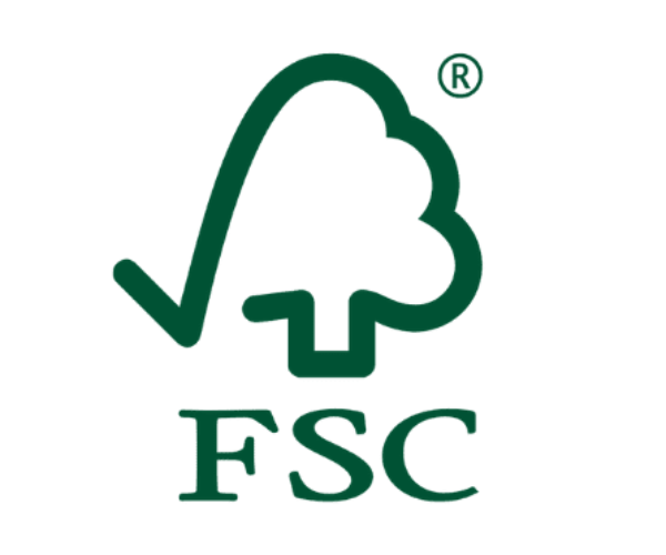 FSC sertifikalı kağıt nedir? Sürdürülebilir ve çevre dostu bir kağıt seçimi