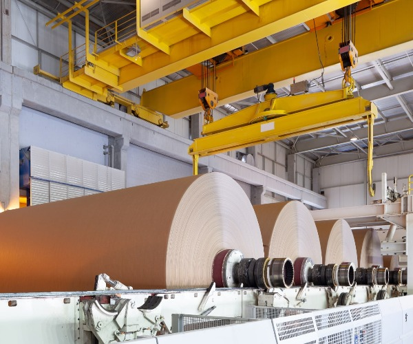 Kağıt yapımında kullanılan hammaddeler nelerdir?