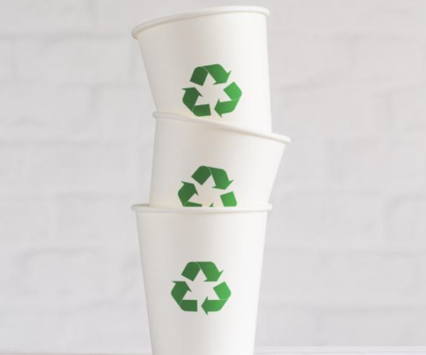 Gıda ambalajında kullanılan kağıt türlerine tam bir rehber