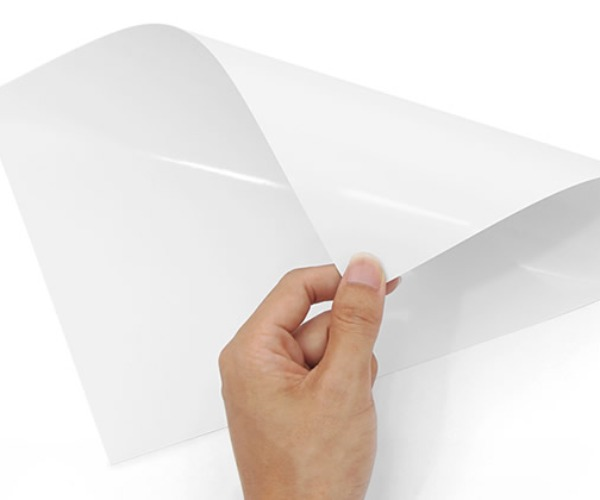 C1s hakkında bilmek için her şey