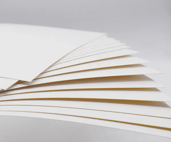 Katı ağartılmış sülfat (SBS) vs katlanır kutu kurulu (FBB): ambalaj karton farkı nedir?