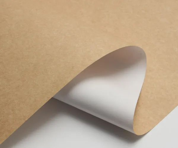 CKB neden giderek popüler hale geliyor?