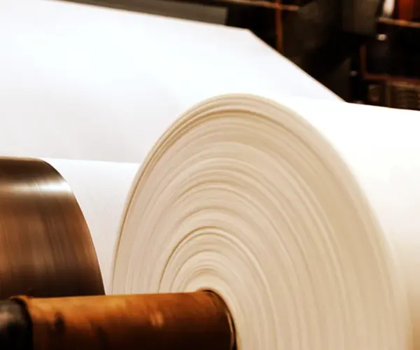 Kağıt hamuru ve kağıt arasındaki fark nedir?