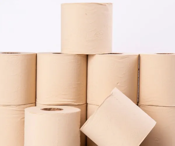 Bambu hamuru tedarik ve kalite kontrol sistemi