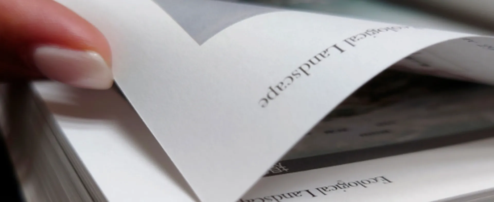 Baskı ve yayıncılık mükemmelliği için altın kağıt çözümleri