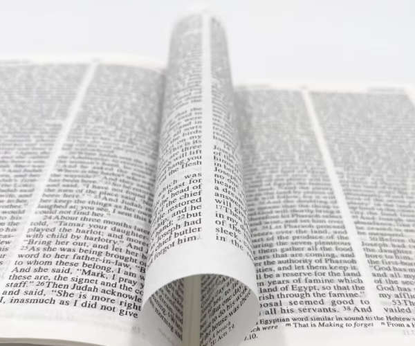 IMG_202511197522_600x500.png IMG_202511197522_600x500.png