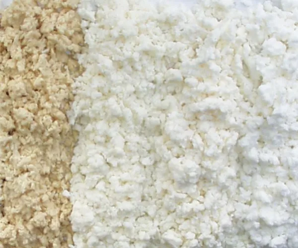 Kağıt hamuru tiplerine ve kullanımlarına tam bir rehber